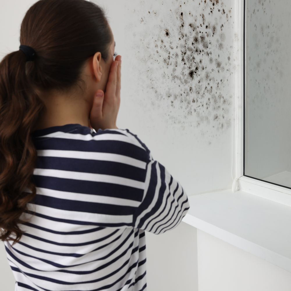 Mold & Mildew Damage Restoration.