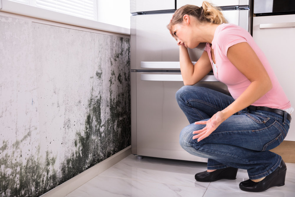 What Are the Health Risks Associated with Mold and Mildew Exposure?