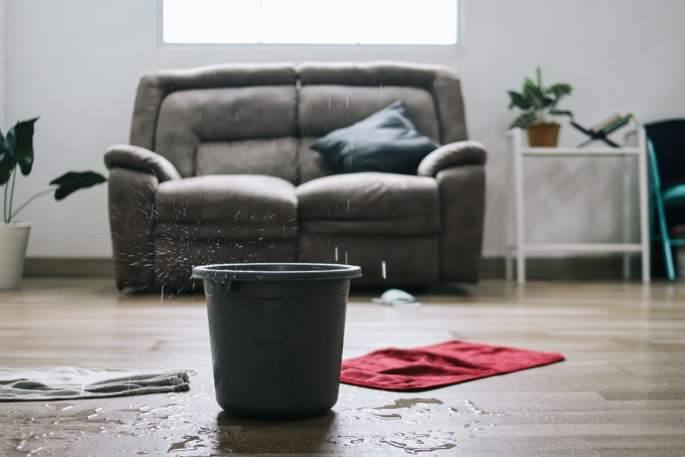 What Are the Most Common Causes of Water Damage in Homes?