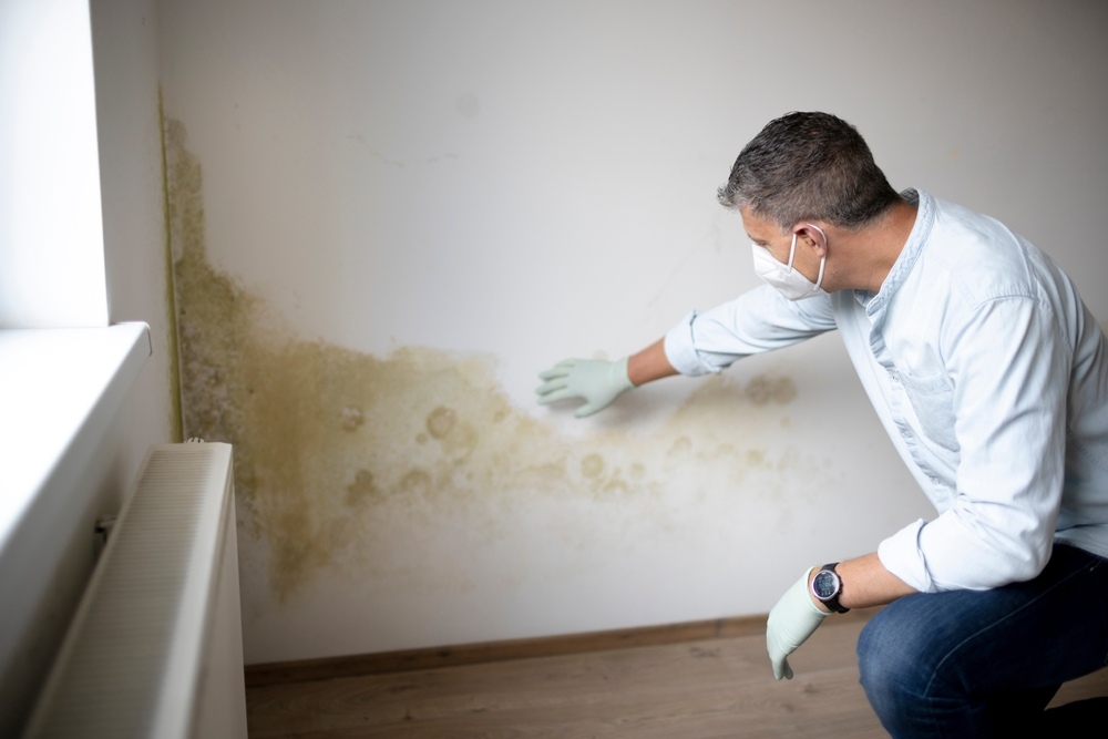 How Does Water Damage Contribute to Mold and Mildew Growth?