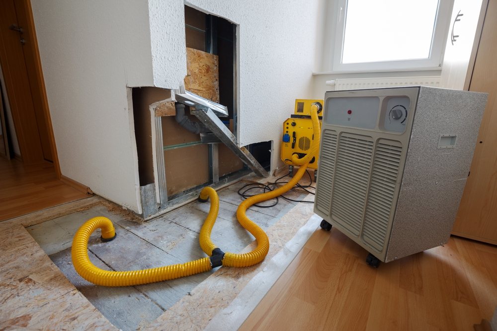 What Is the Process of Water Damage Cleanup and Restoration?