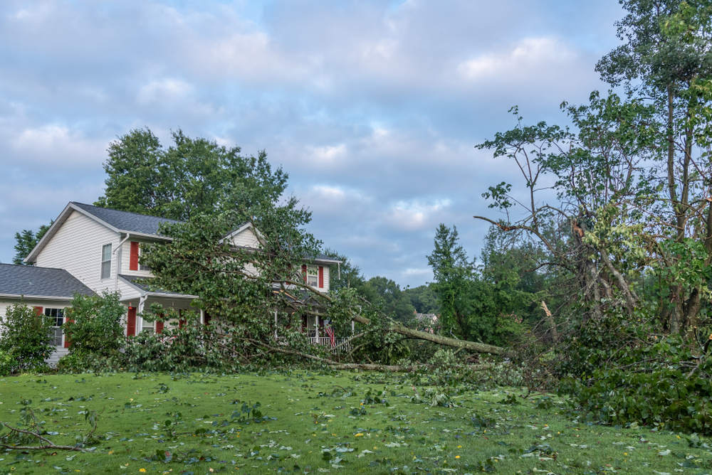 Weather Damage Restoration in San Diego