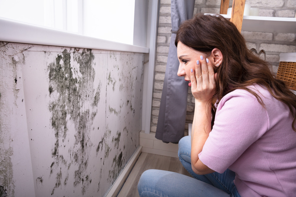 How Water Remediation Prevents Mold Growth and Health Risks