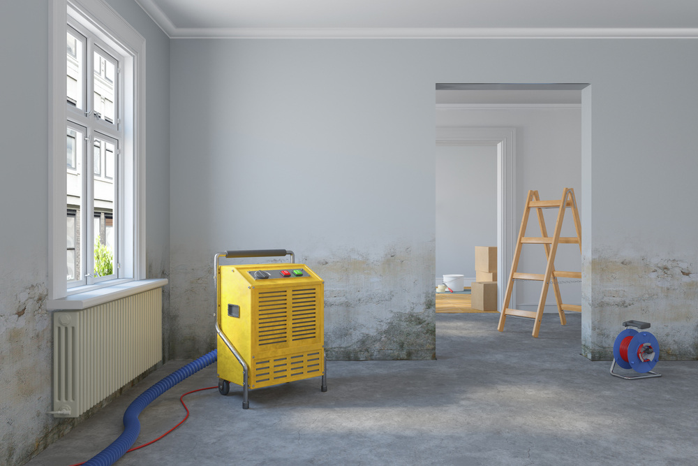 The Science Behind Mold Growth and Effective Remediation