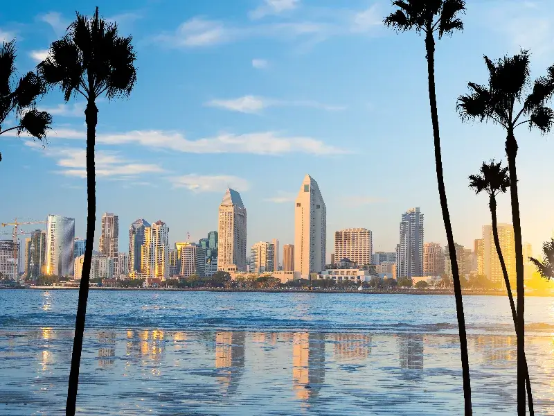 San Diego skyline at sunset with palm trees and water reflections.