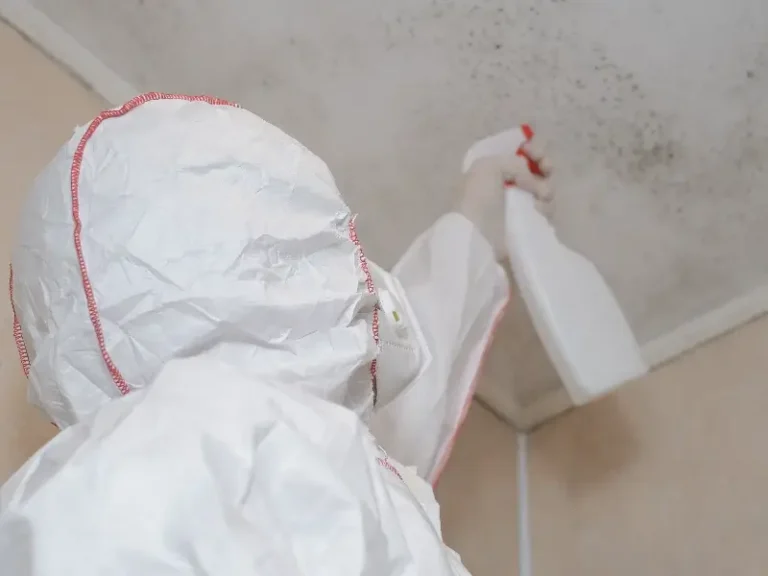 Person in protective suit spraying mold on a ceiling with a spray bottle.