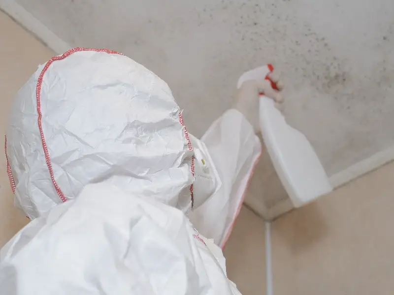 Person in protective suit spraying mold on a ceiling with a spray bottle.
