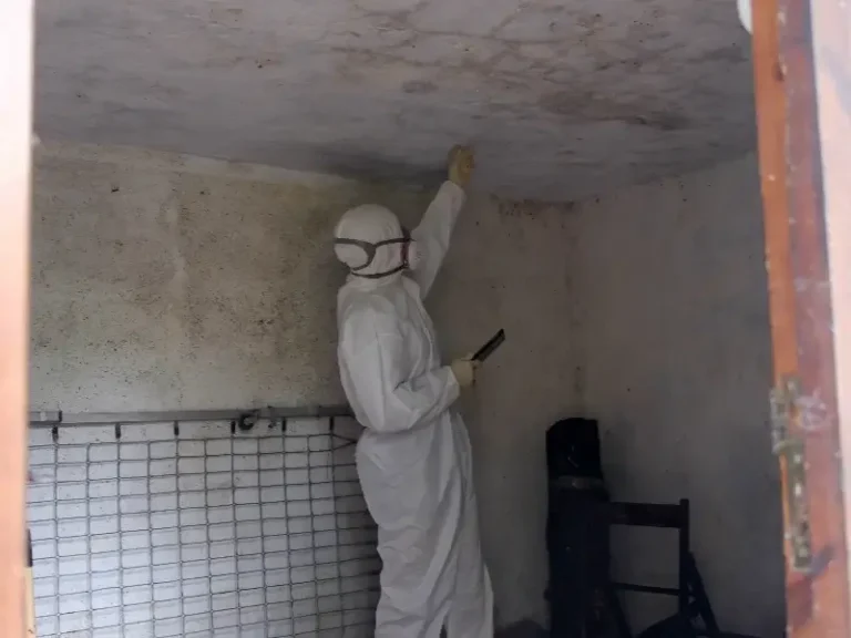 Person in protective suit inspecting mold on a ceiling inside a room.