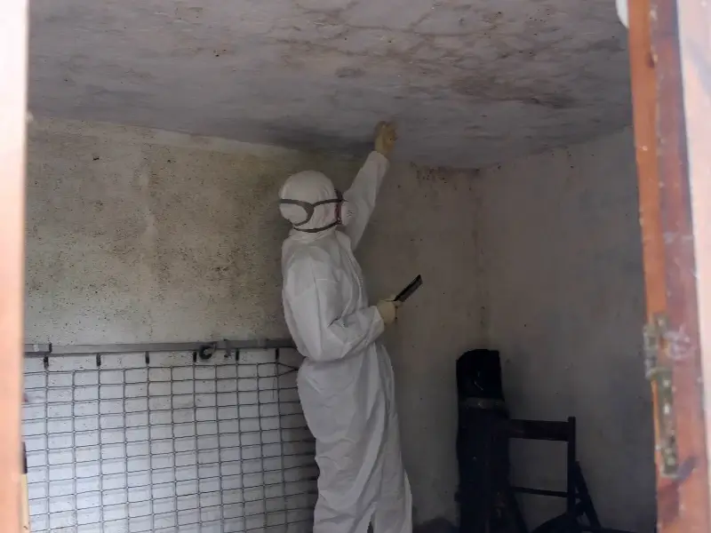 Person in protective suit inspecting mold on a ceiling inside a room.