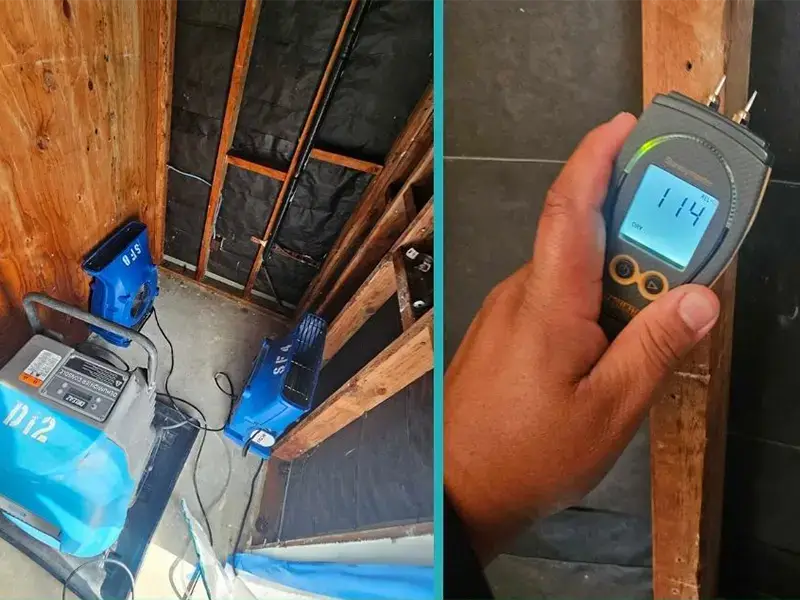 Two blue air movers drying a wooden framed wall and a hand holding a moisture meter reading 11.4.