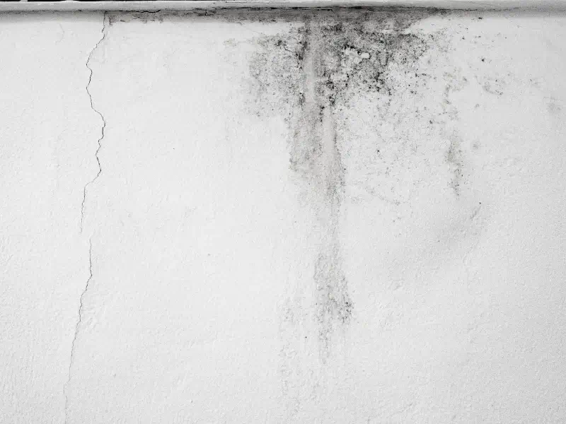 White wall with a vertical crack on the left and dark water stains near the top center.